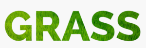 grass5