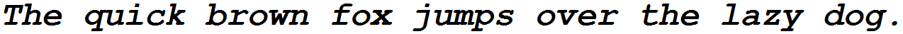 Courier New Bold Italic