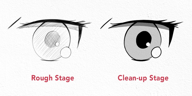 anime eyes, rough stage and clean-up stage