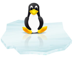 linuxvsunix