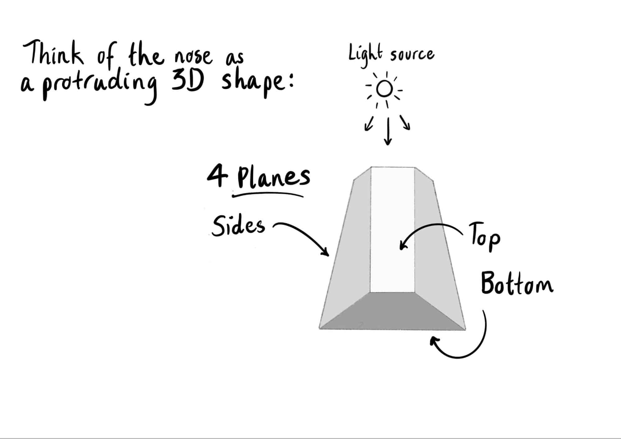 A nose with arrows showing where to shade. 
