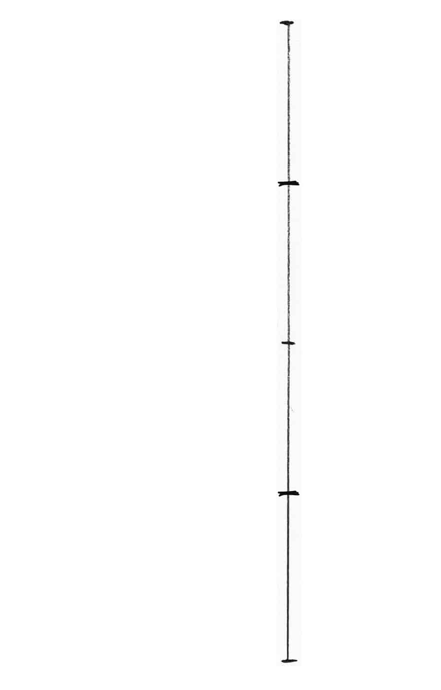 vertical line
