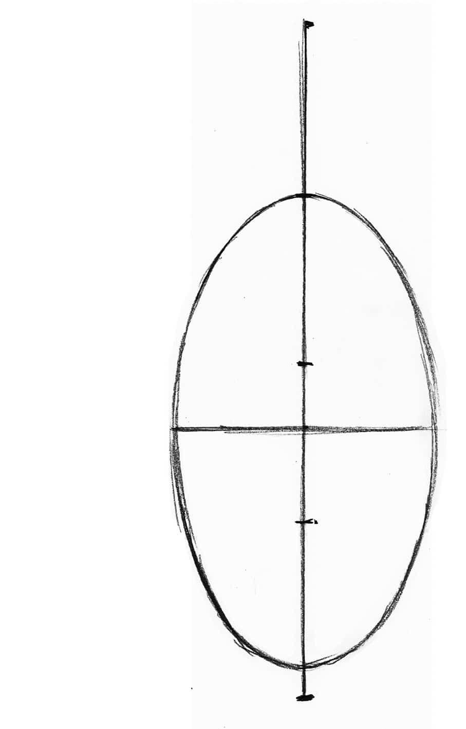 oval body cat