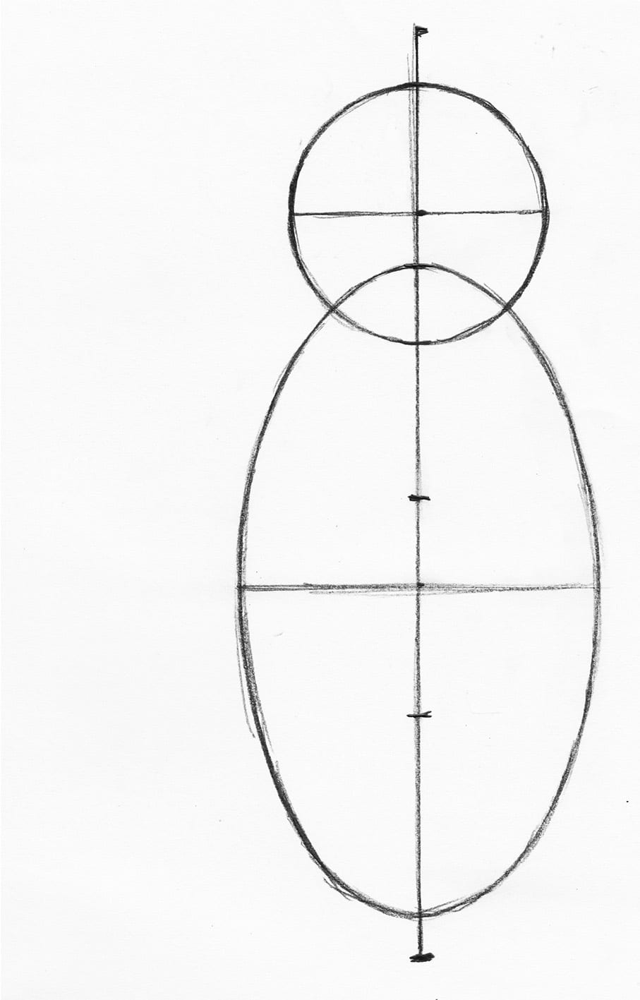 oval body and head