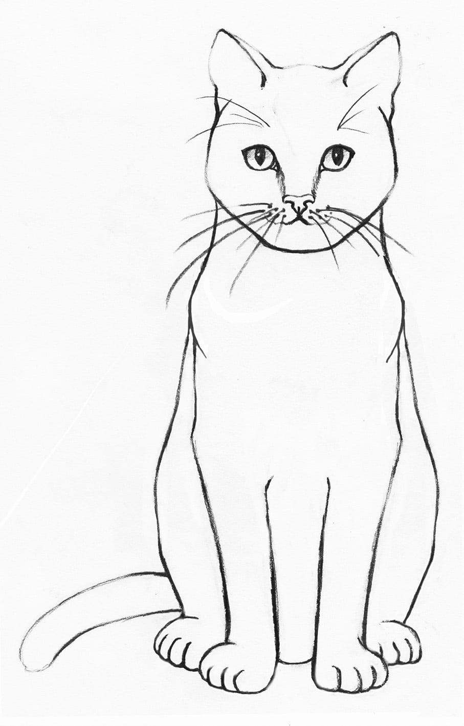 erase outline of cat